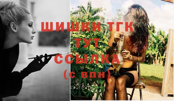 дмт Ладушкин