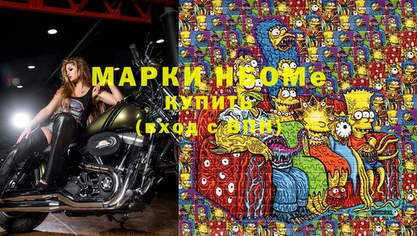 не бодяженный Кукмор