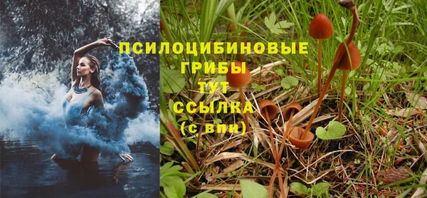 2c-b Лагань