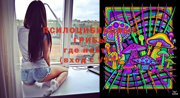 ешки Апатиты
