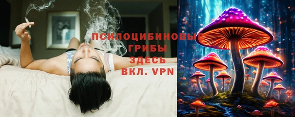 не бодяженный Кукмор