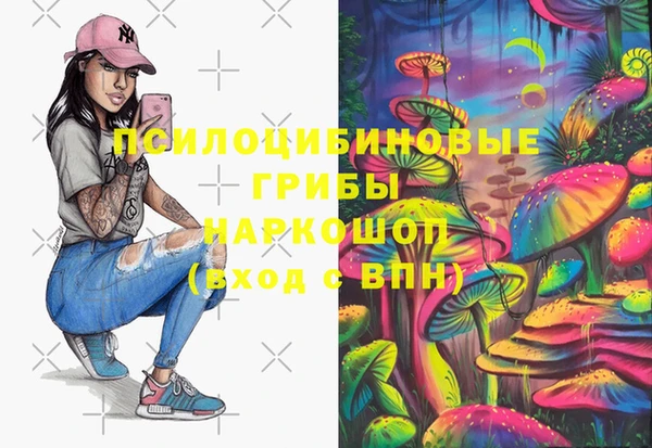 твердый Кулебаки