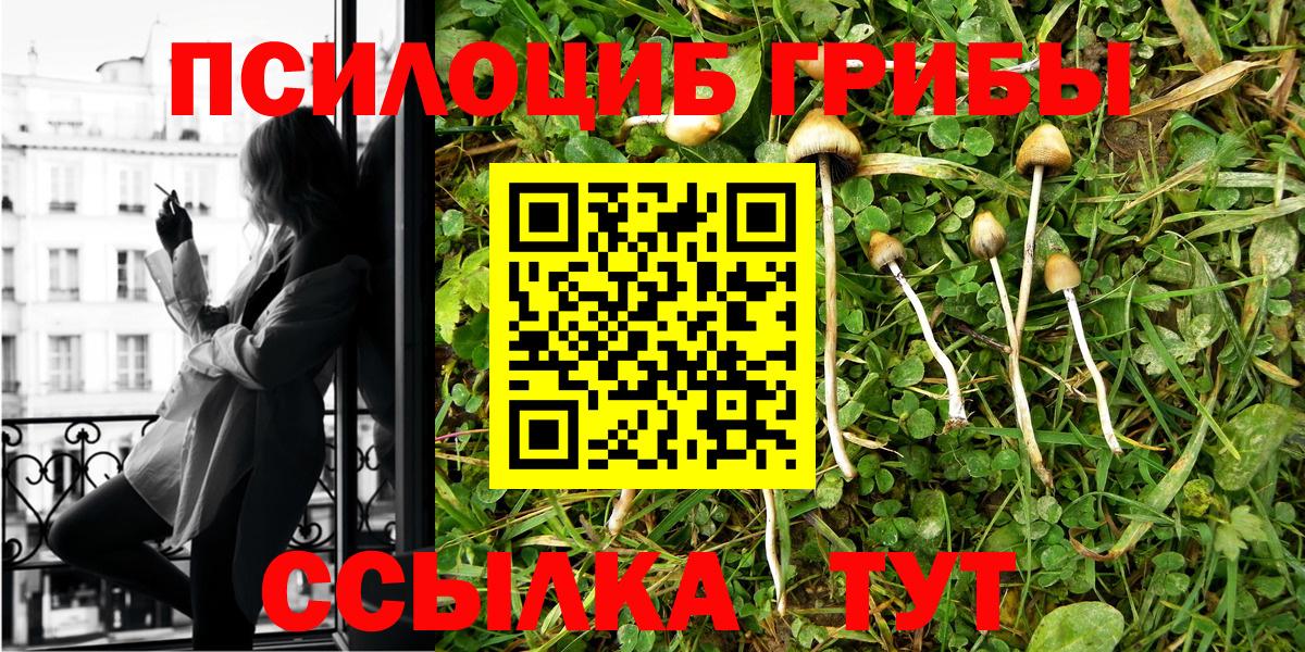 Старая Русса  Галлюциногенные грибы прущие грибы  Вход с VPN 
