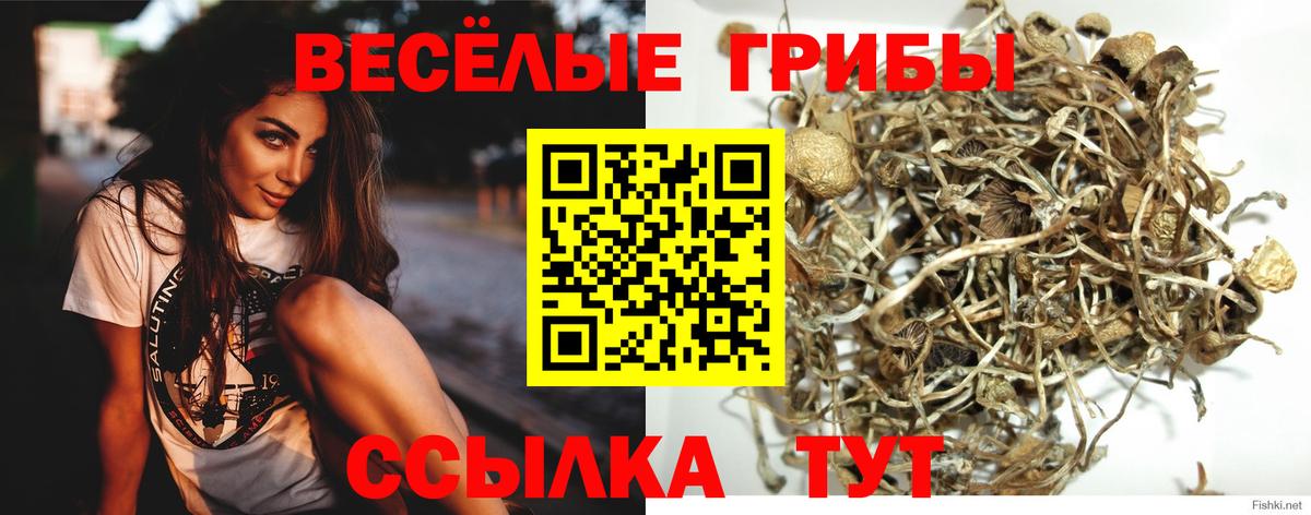 Псилоцибиновые грибы мухоморы Старая Русса