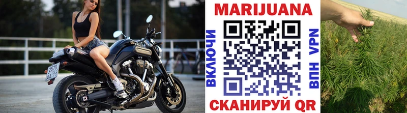 Марихуана сатива  Старая Русса 